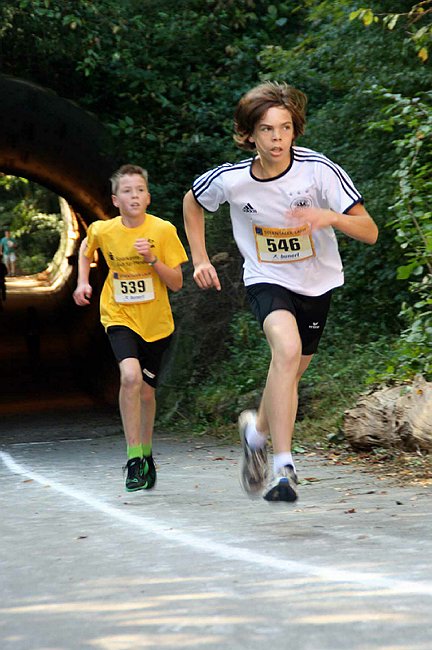 Lauf2011 179.jpg
