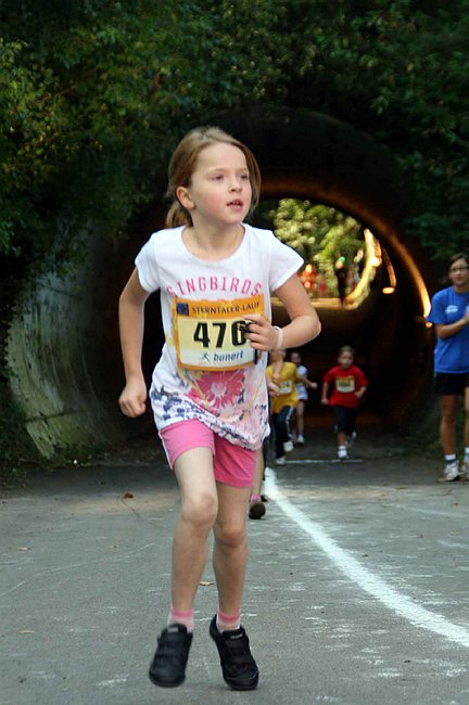 Lauf2011 035.jpg