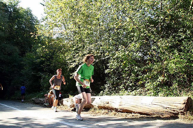 Lauf2011 353.jpg