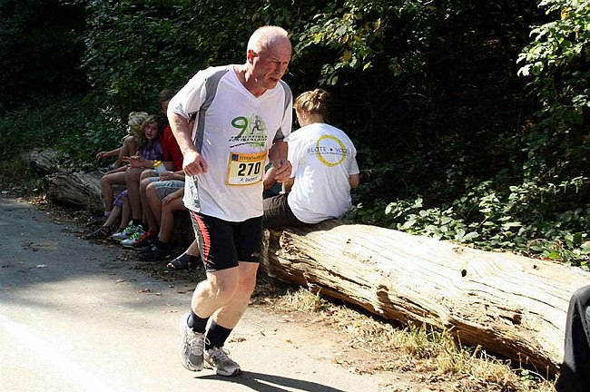 Lauf2011 420.jpg