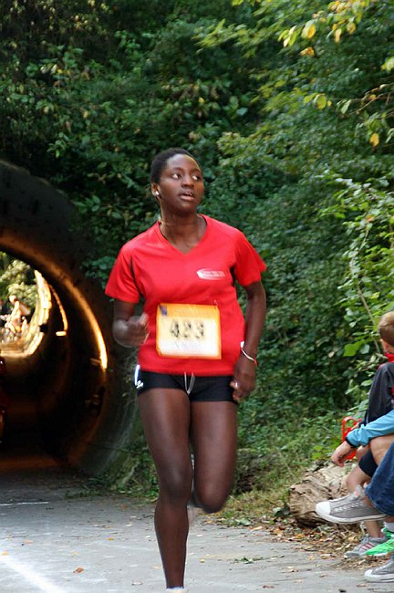 Lauf2011 106.jpg