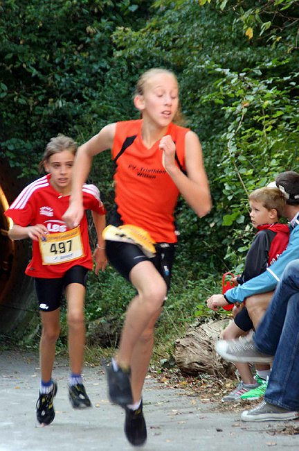 Lauf2011 109.jpg