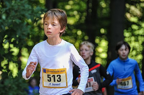Sterntalerlauf_2013_0140.jpg