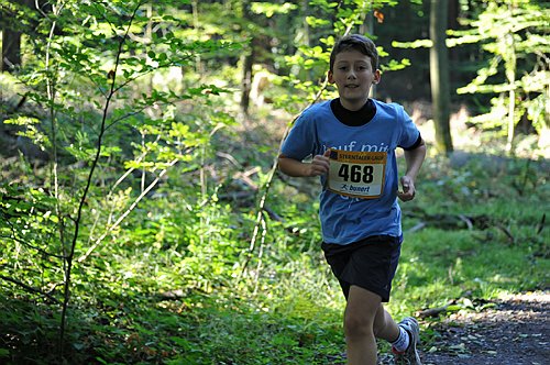 Sterntalerlauf_2013_0157.jpg