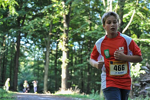 Sterntalerlauf_2013_0160.jpg