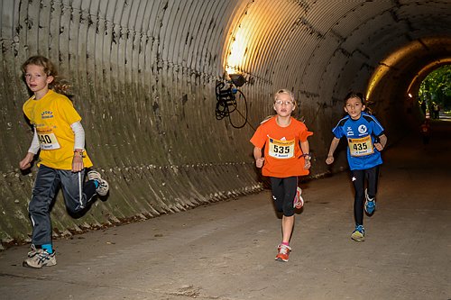 Sterntalerlauf_2013_0051.jpg